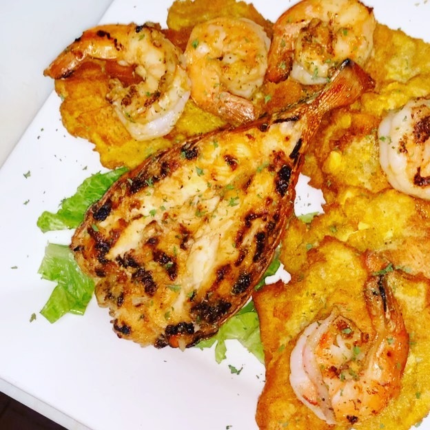 imgi_19_528049317_607274215516923_6316364102997010972_n